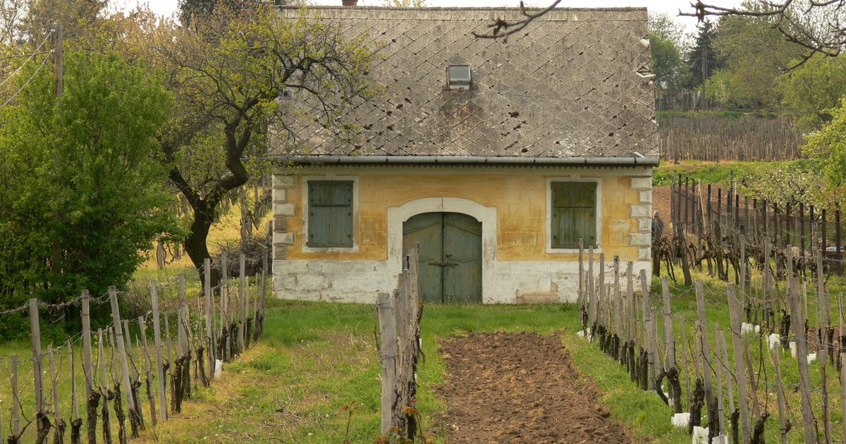 A “Budapest Rejtett Kincsei: 9 Település Befolyásos Bélyege” cím megfelelő lehet erre az anyagra.