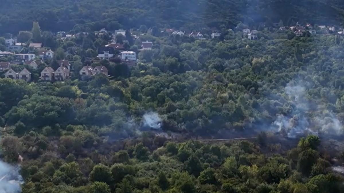 Rejtélyes tűzeset űzi a nyomozókat az óbudai parkban