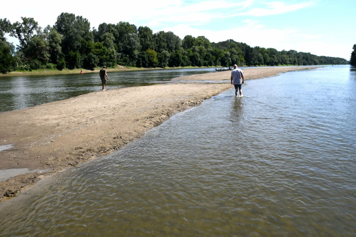 Az aszály által okozott alacsony Tisza vízállása lehetővé teszi gyalogos átkelést – félelmetes videó