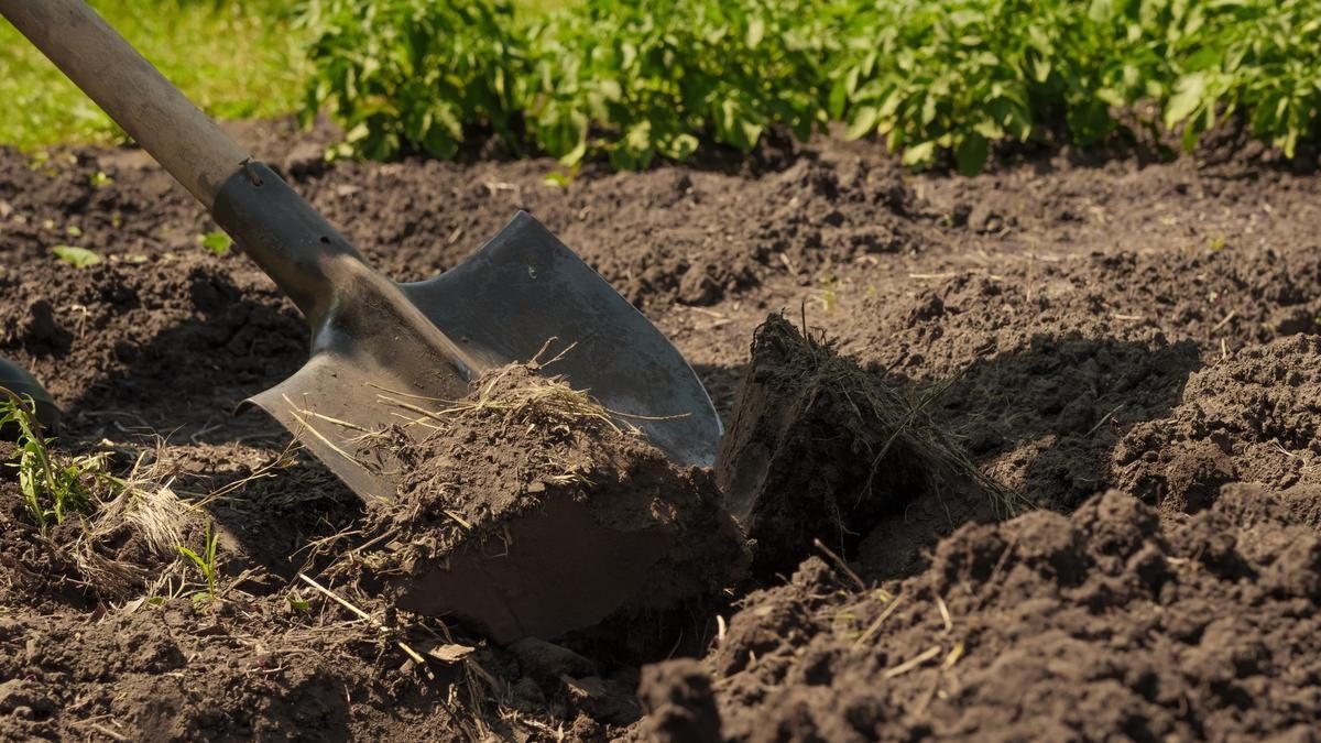 A kert rejtélye: Egy nyugdíjas milliókat rejtett el, majd maga sem találta meg