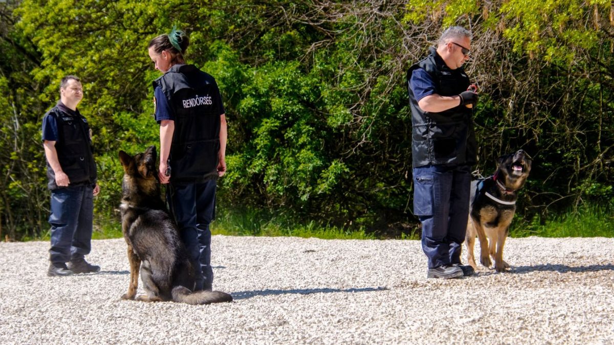 Szívszorító keresés: eltűnt a bükkaranyosi Balázs, édesanyja könyörgésére százan csatlakoztak