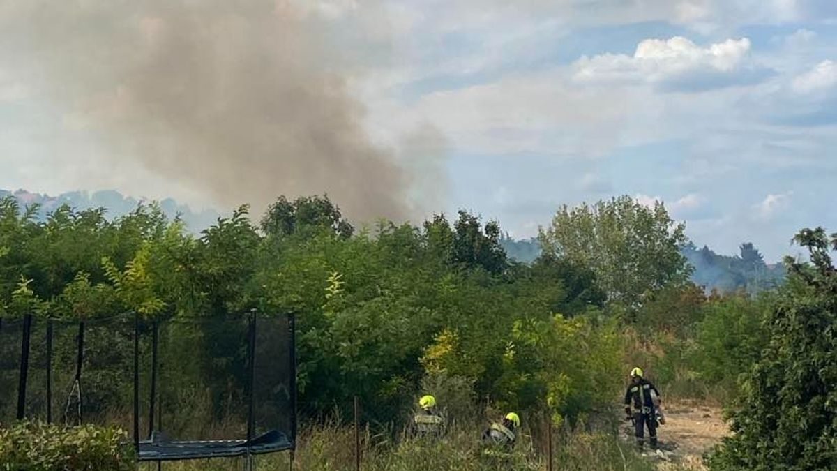 Rendkívüli tűzvész pusztít a Táborhegyi parkban – Fotók a lángok között