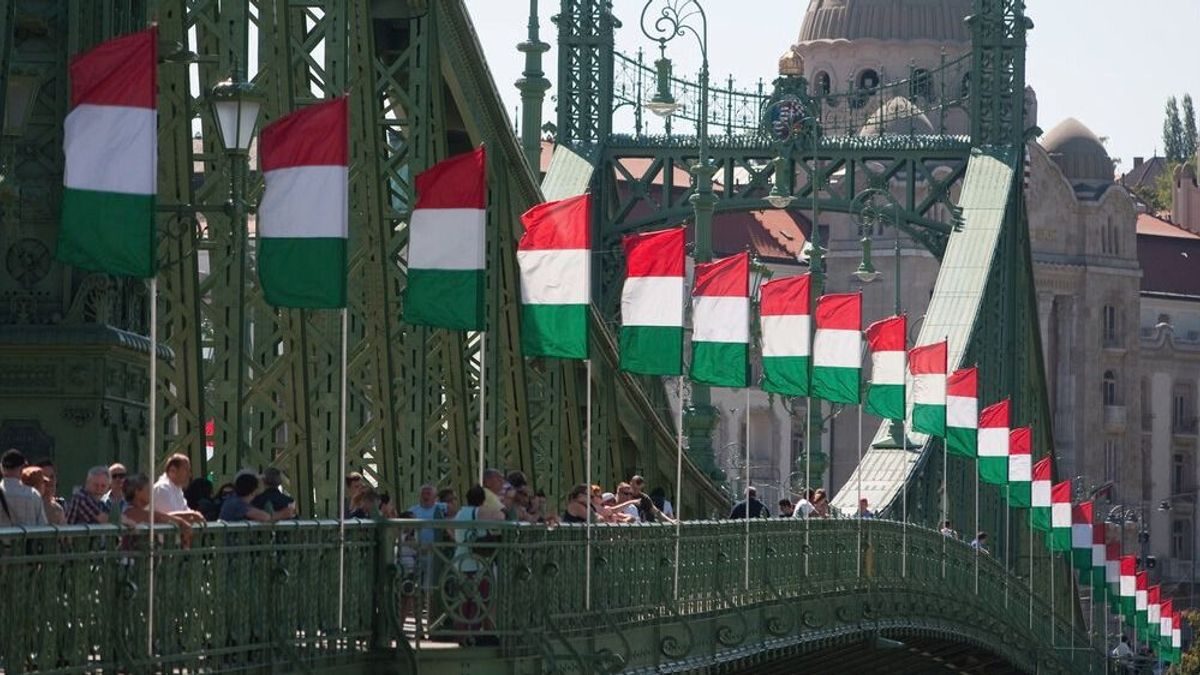 Olcsó sörözés augusztus 20-án: Itt a lehetőség a kiváló árakhoz!