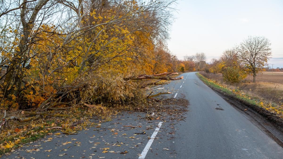 Az ősz köszönt be - Viharos hétvége várható!