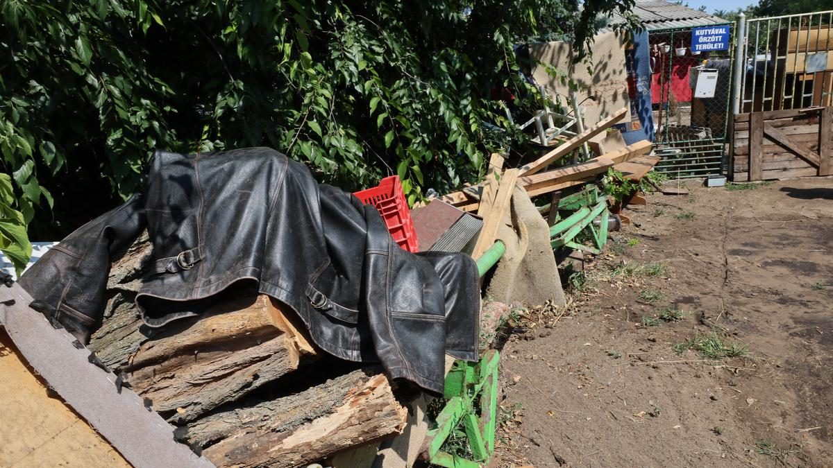 A Tanyavilág Utolsó Betyárja: Janika, a Lovas Kocsis Fosztogató