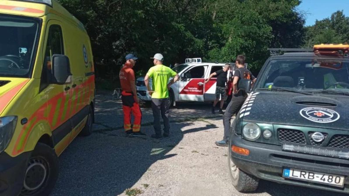 Sürgős segítségre van szükség: Börzsönyi Hegyimentők felhívása