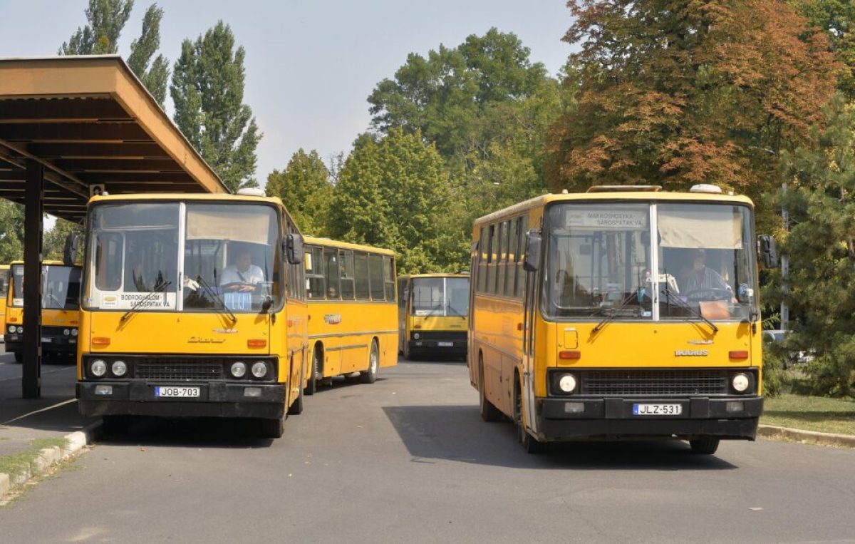 A két fiatal meglepő módon használta a csuklós buszokat: meglepő, hogy mi volt a céljuk