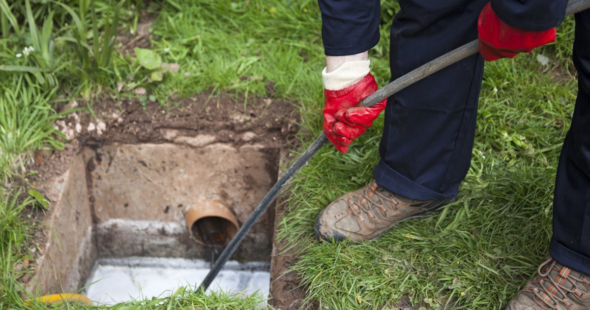 A megrendítő túlélő történet: a macska nyolc hétig rekedt a rázáródott csatornafedél alatt