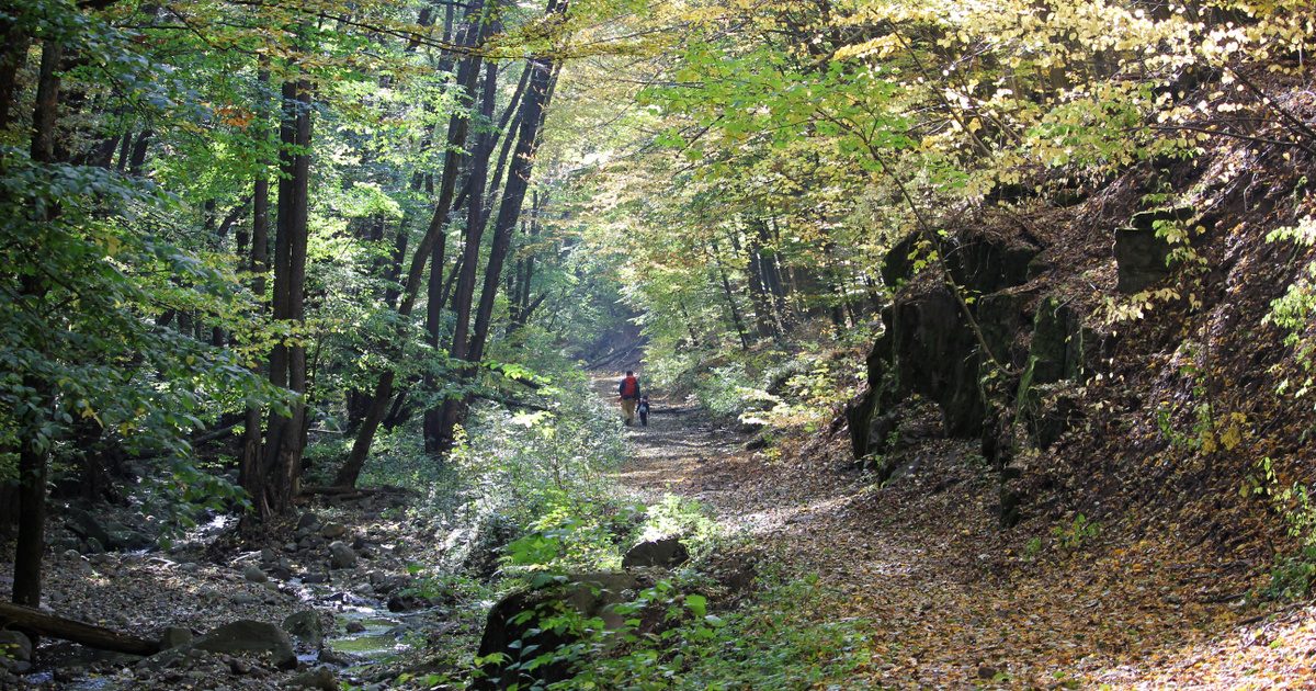 A hazai kirándulóhelyek térképén: Hol találhatod őket?