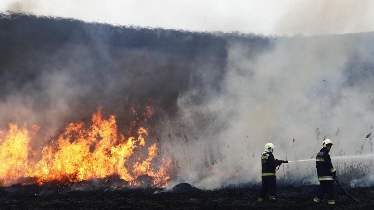 Vönöck és Kenyeri között tomboló tűzvészben 200 tűzoltó vette fel a harcot a kánikula utolsó napjain