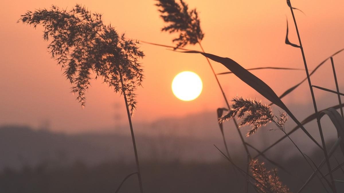 Rekordmeleg tombol az ősz elején: mikor érkezik a várva várt enyhülés?