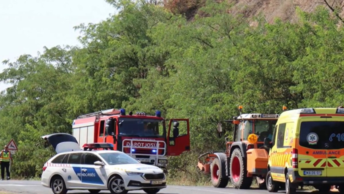 Tragikus baleset: élettelen testét órákig találták a bokrok között – megdöbbentő felvétel készült