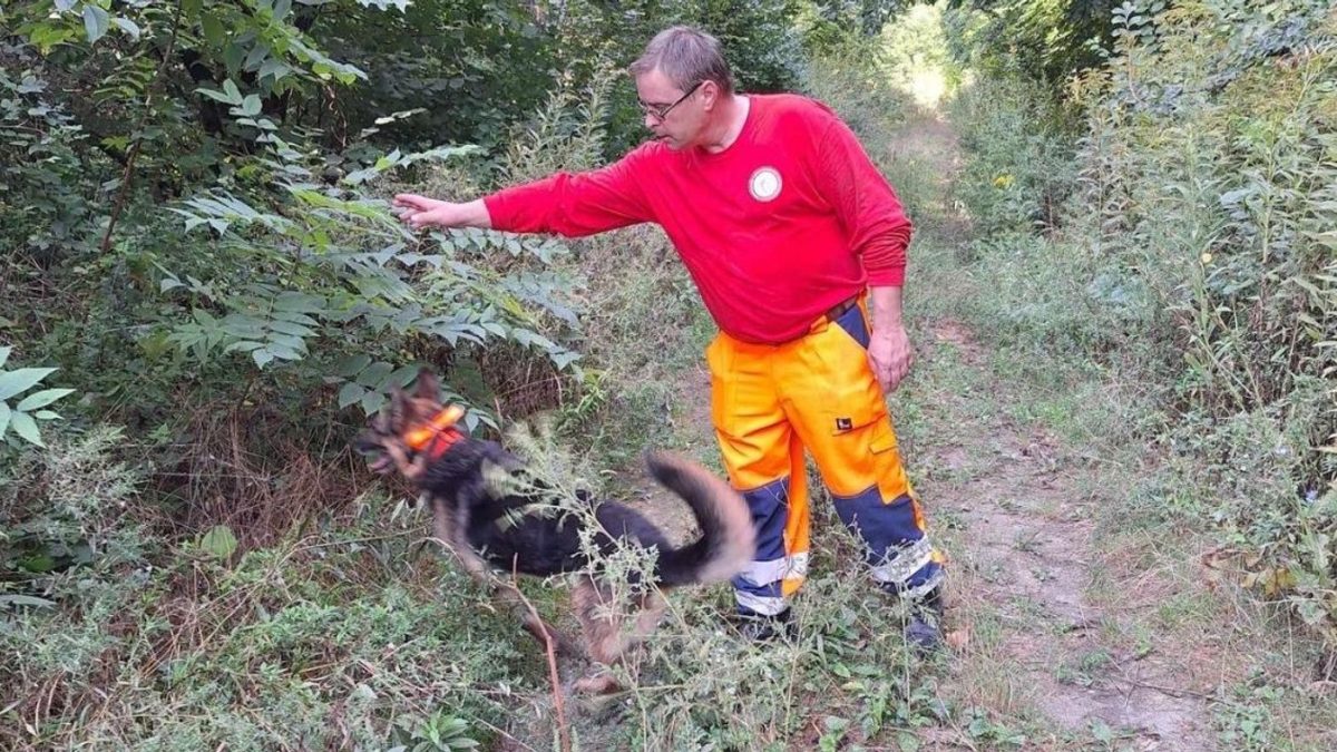 Nagy tragédia Piliscsabán: Holtan találták meg az eltűnt Danit és Balázst