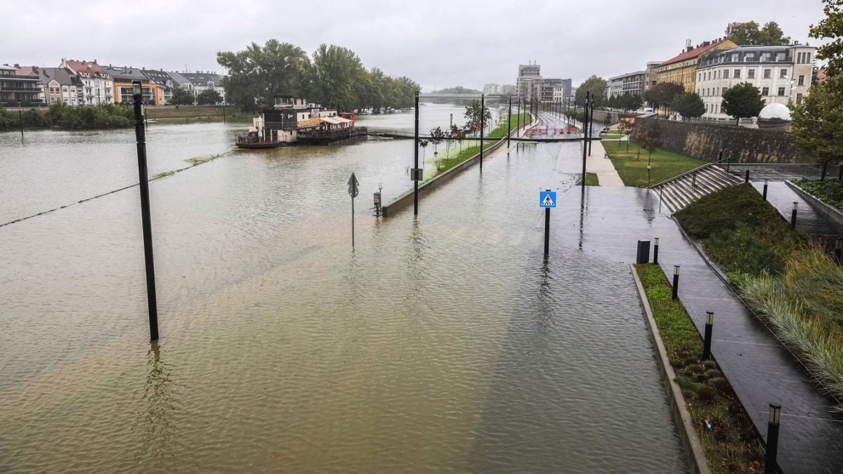 Sztárok is érintettek az árvíz sújtotta területeken