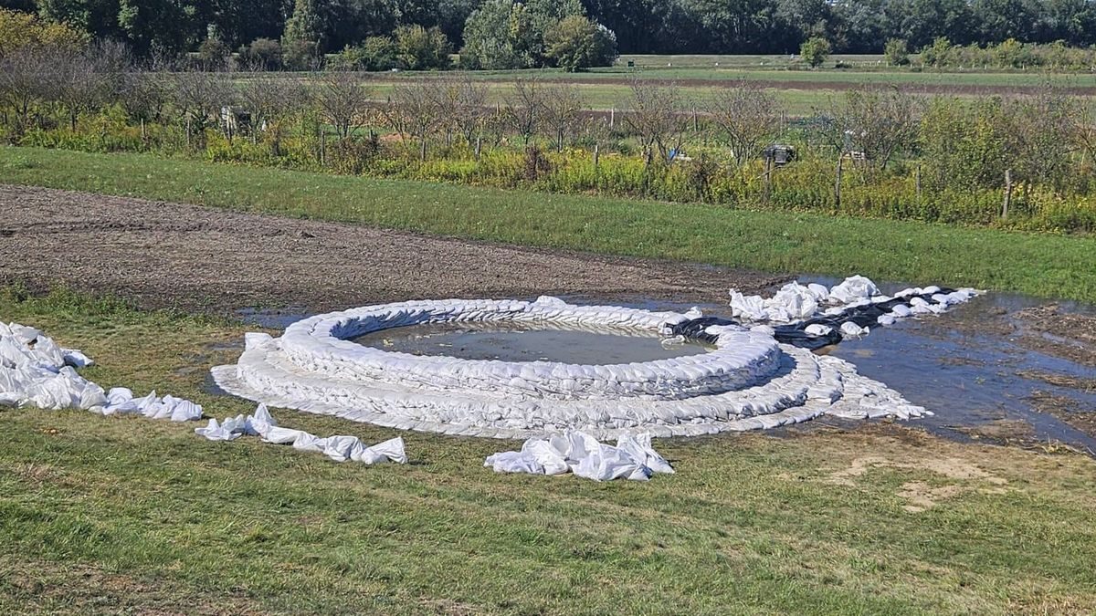 Veszélyes buzgót csíptek el a víz árasztotta területen Szigetmonostornál