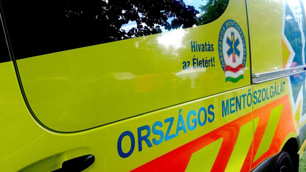 A megtalált, de elveszett látássérült Ottó csodálatos története