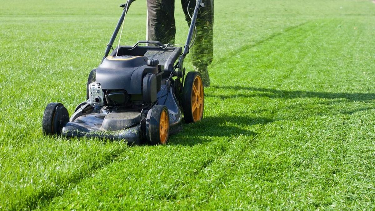 Őszi kerti tippek: Hogyan őrizd meg a gyönyörű füvet a hideg hónapokban?