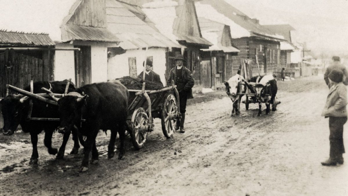 Az emberek zöme már elvesztette a kapcsolatot a következő szavakkal