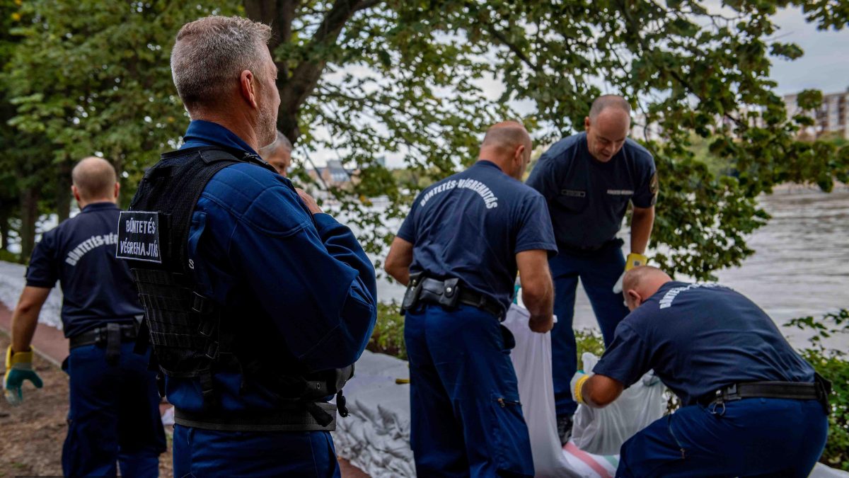 Éjszakai összefogás a Margit-szigeten: Rabló és pandúr közösen teszik szebbé a környezetet