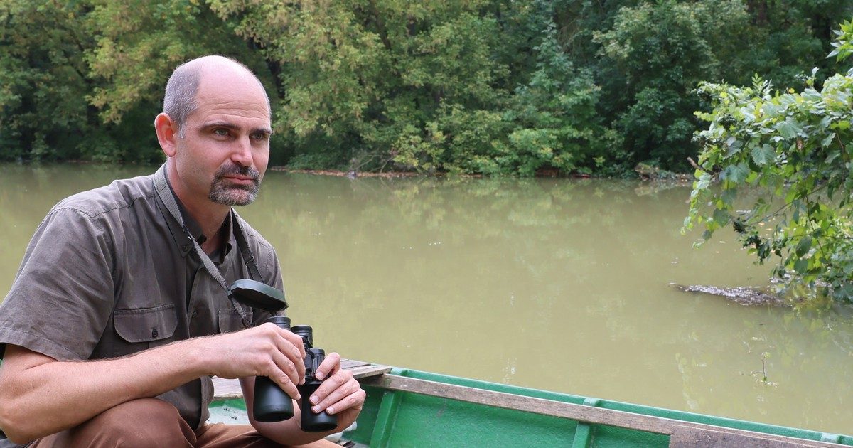 Víz alatt rejtőző erdőn át hömpölygött a Duna: Gemencben tilos a bejárás hetekig