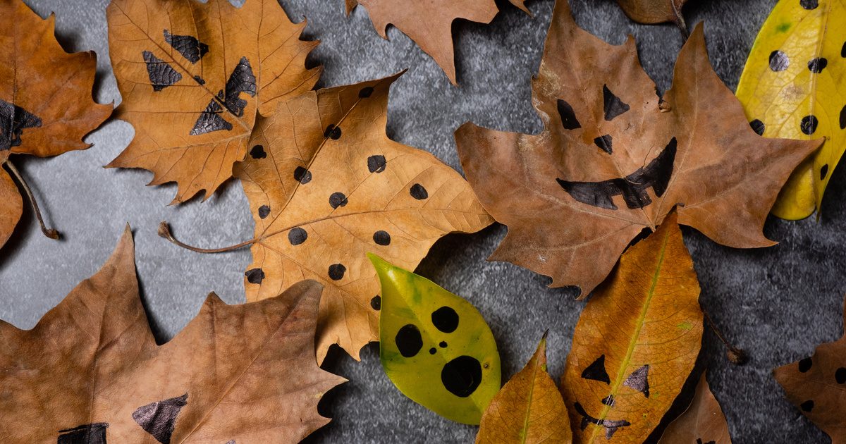 Halloweeni Varázslat: 9 Egyszerű és Hatásos Dekorációs Ötlet Kézügyesség Nélkül