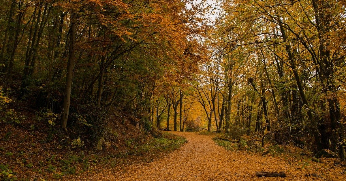 Csütörtöki időjárás: Folytatódik a meleg, párás és szeles idő várható