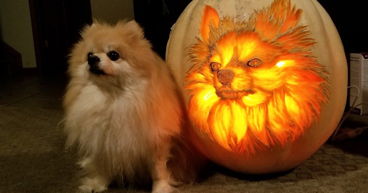 A Döbbenetes Halloween Tökfaragás Művészete: Lenyűgöző Galéria a Legtökéletesebb Tökökkel