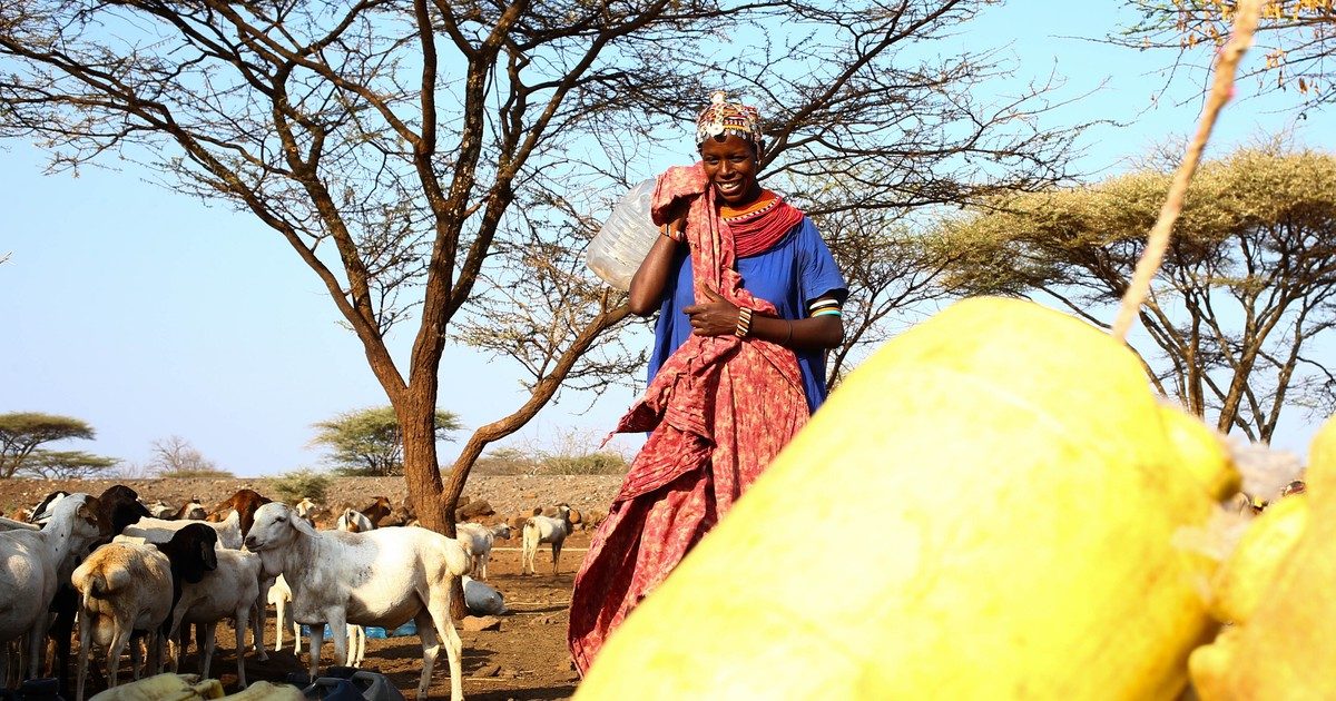 A Szerelem És Kaland Kenyában: Egy Luxuséletből Sárházba Változott Romantika