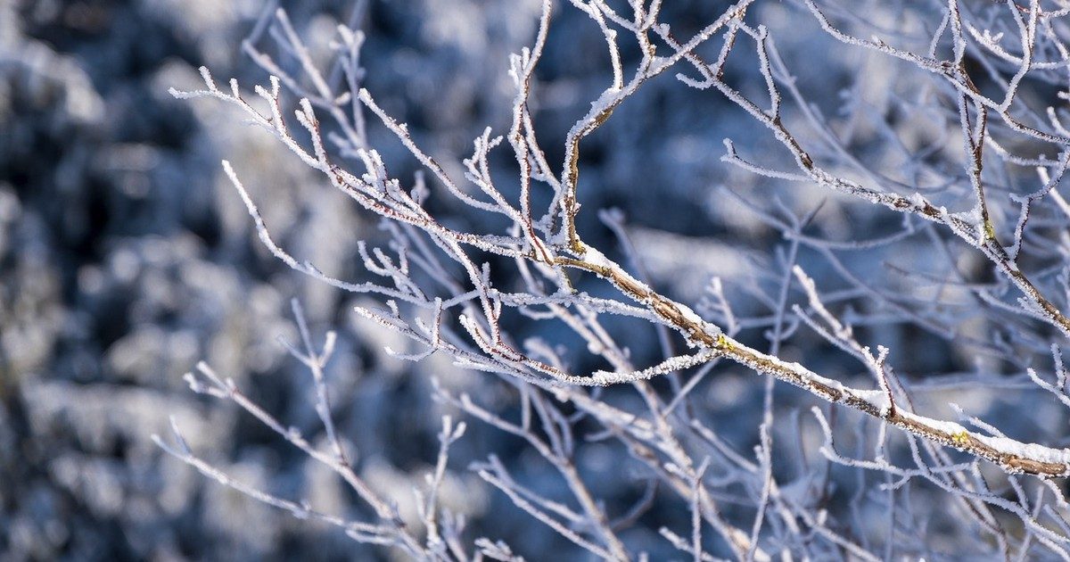 Őszi meglepetés: hamarosan érkezik az első hó Magyarországra