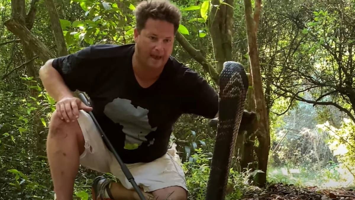 Steve Irwin legendás ausztrál vadonvédelmi szakember a kígyómarás áldozata lett Dél-Afrikában