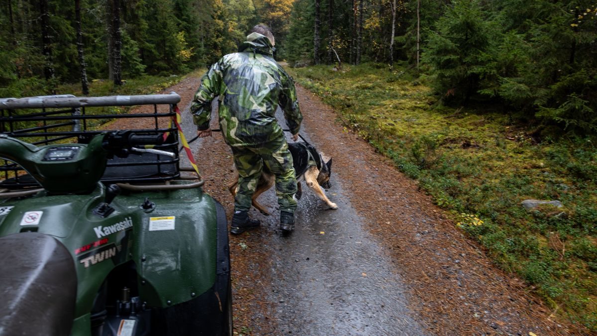 Várpalota diákcsíny botránya: bírósági eljárás várható a tinik eltűnése miatt