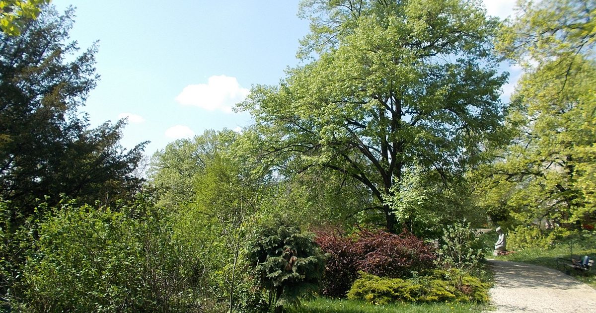 Sokan aggódnak a gyönyörű budapesti édenkertért: egy dolog mégis okot ad a reményre