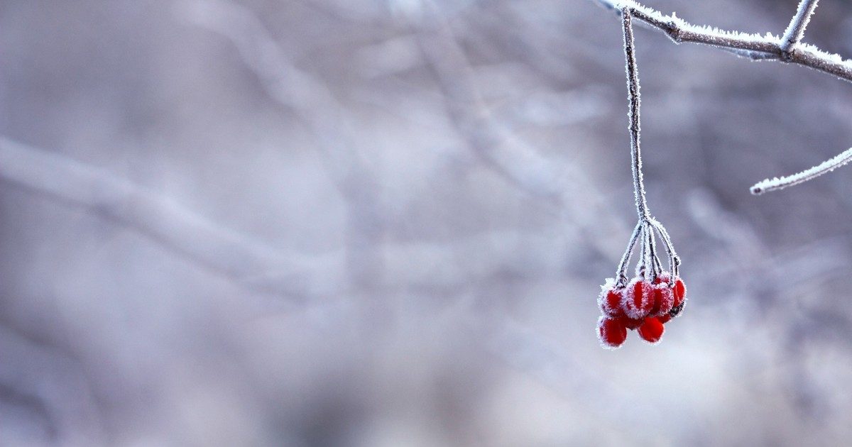 Tényleg megérkezik a tél: a jövő héten ismét havazásra lehet számítani