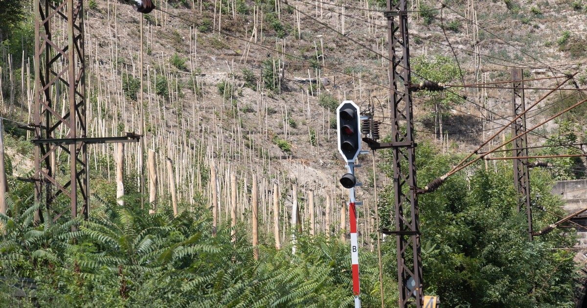 A MÁV válságban: Kelenföldön leszakadt a felsővezeték, a vezérigazgató nyilatkozott - videó