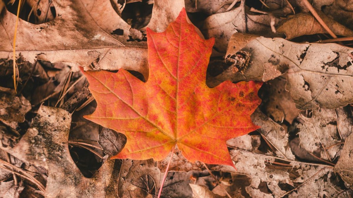 A november hirtelen behatolt az életünkbe