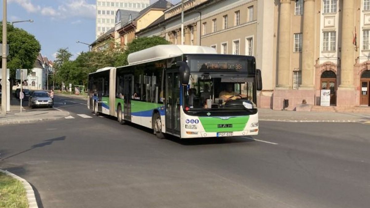 A rémálom a buszon: Szörnyű események történtek Erzsébettel hazafelé menet a bevásárlás után.