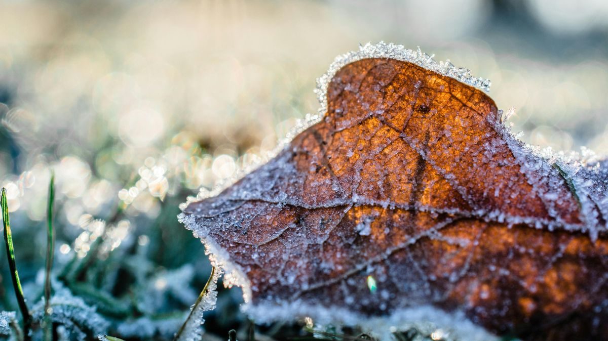 A hideg idő három okból is gyilkos lehet: így védekezz a tragédiák ellen