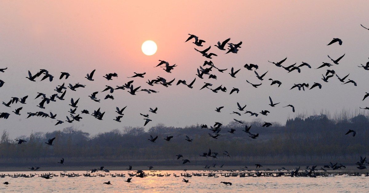 Elbűvölő hétvége a Tatai Vadlúd Sokadalomban