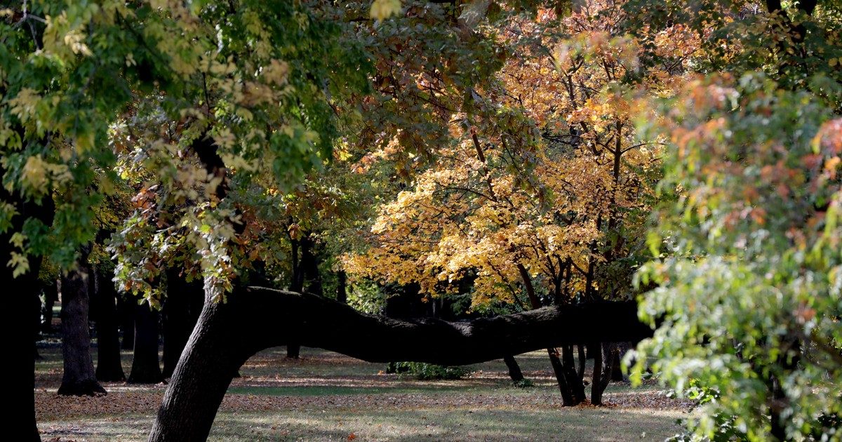 Figyelmeztetés: A hidegfront csak két nap múlva érkezik! Készüljön fel megfelelően az őszi időjárásra