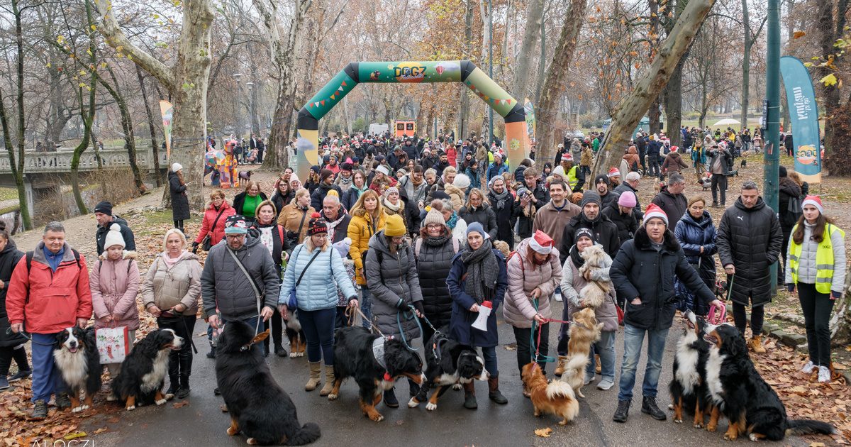 A Városligetet elárasztották a Négylábú Mikulások!