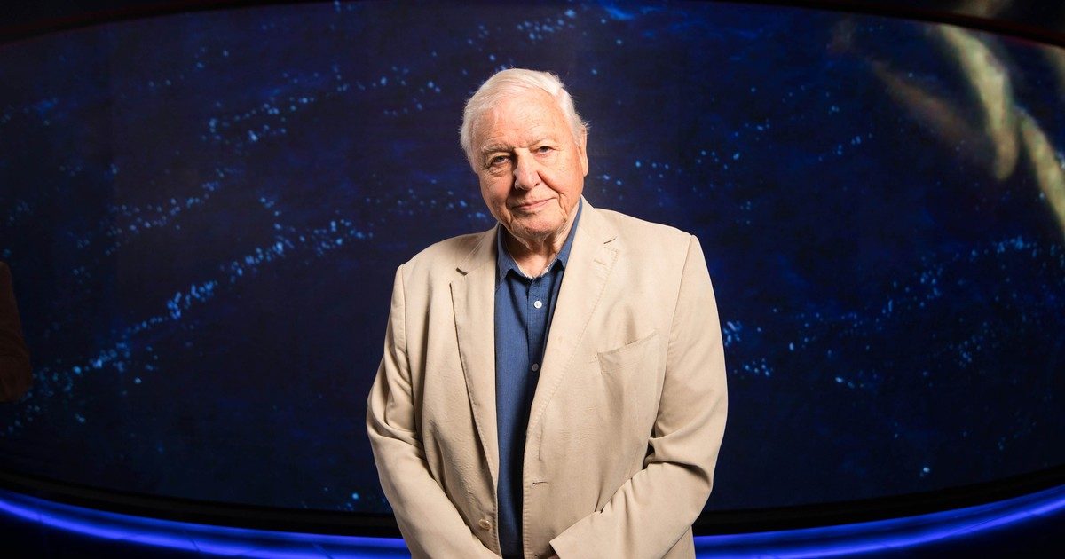 A buliból a természetre: David Attenborough pályafutásának különös fordulatai