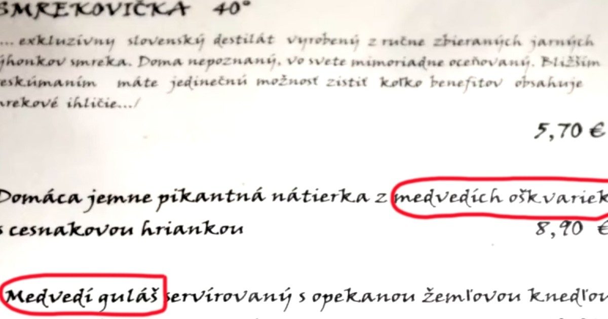 Medvehús volt az étlapon – Egy hónap elteltével sem lehet tudni, hogyan került a medve az asztalra