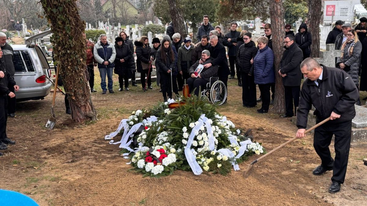 A szívből jövő ajándék: selyemvirágok minden szülinapra