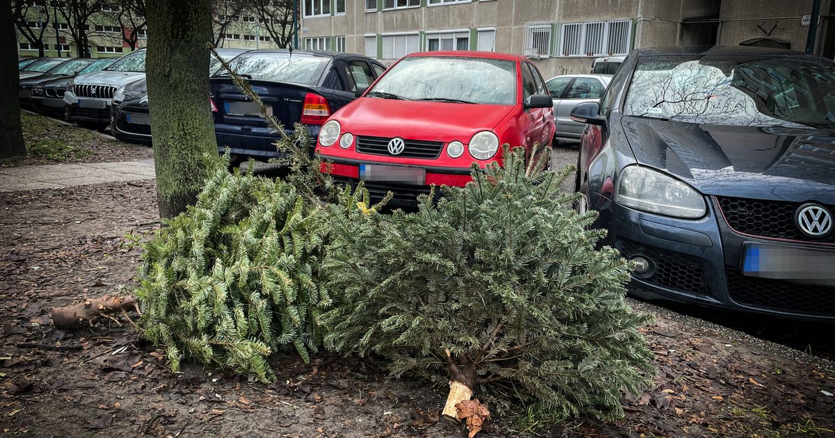 Kemény büntetés vár, ha az utcán szemetelsz