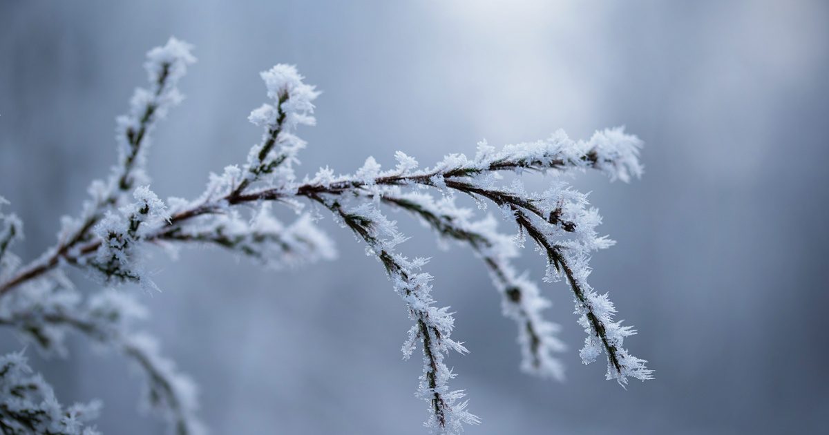 A hétvégi havazásról szóló meteorológiai jóslatok: Vajon folytatódik a téli időjárás?