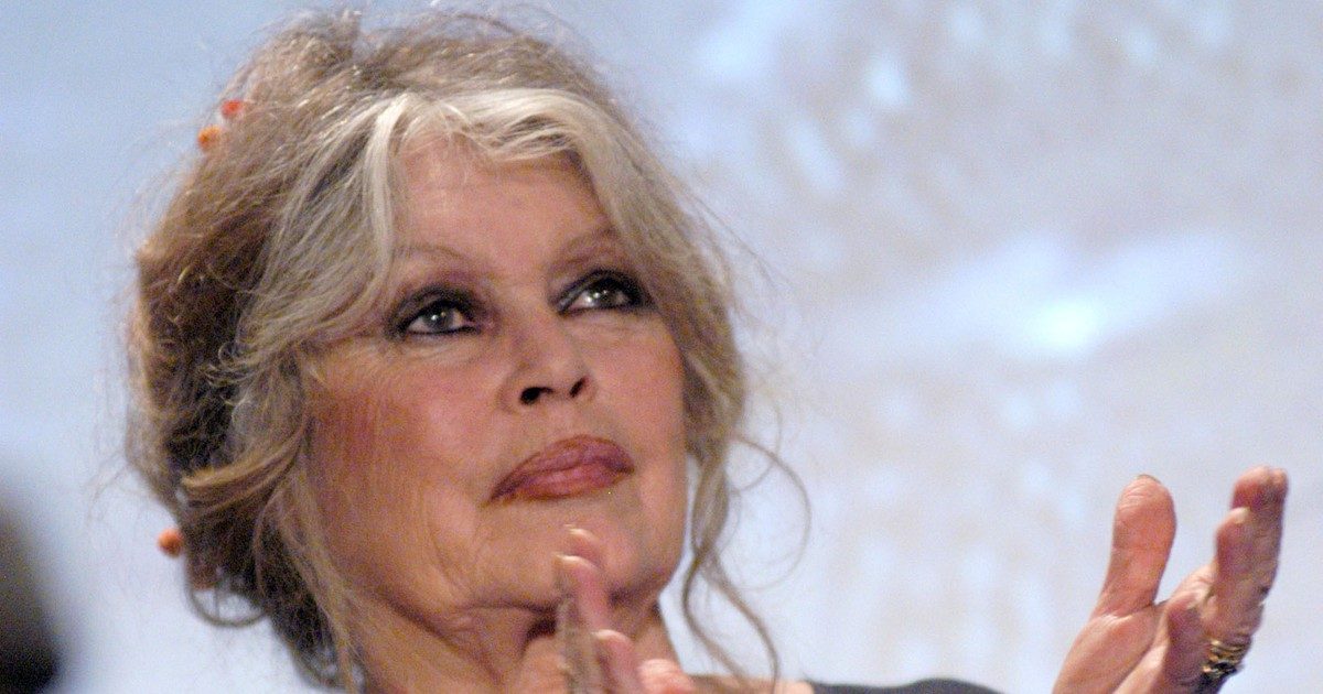 Brigitte Bardot meglepetése: egy isteni ereklye Natáliának