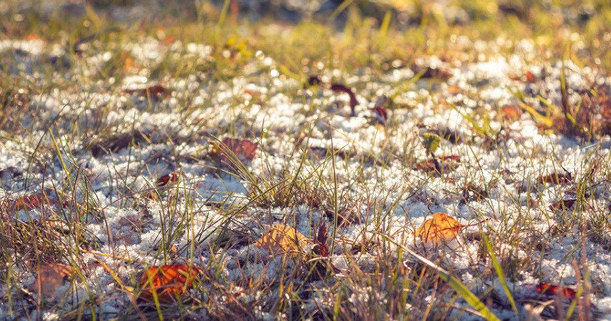 Varázslatos hólények: Mesés tájegység a Dunakanyarban