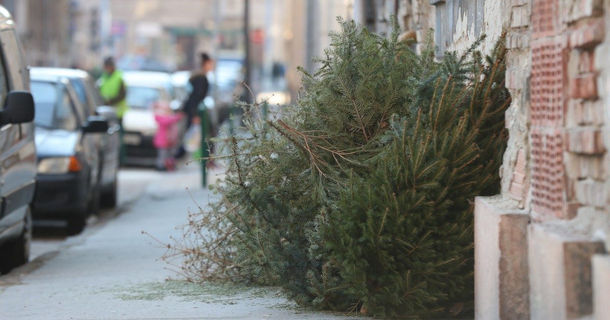 A Vízkereszt ünnepének különleges hagyományait megidéző cím: “Háromkirályok kísérete a szentelt víz és karácsonyfa árnyékában: Itt a Vízkereszt ünnepe!