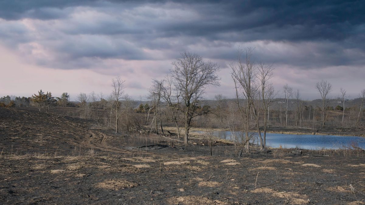 A Felkavaró Igazság Kiderülése: A Világvége Közeledik