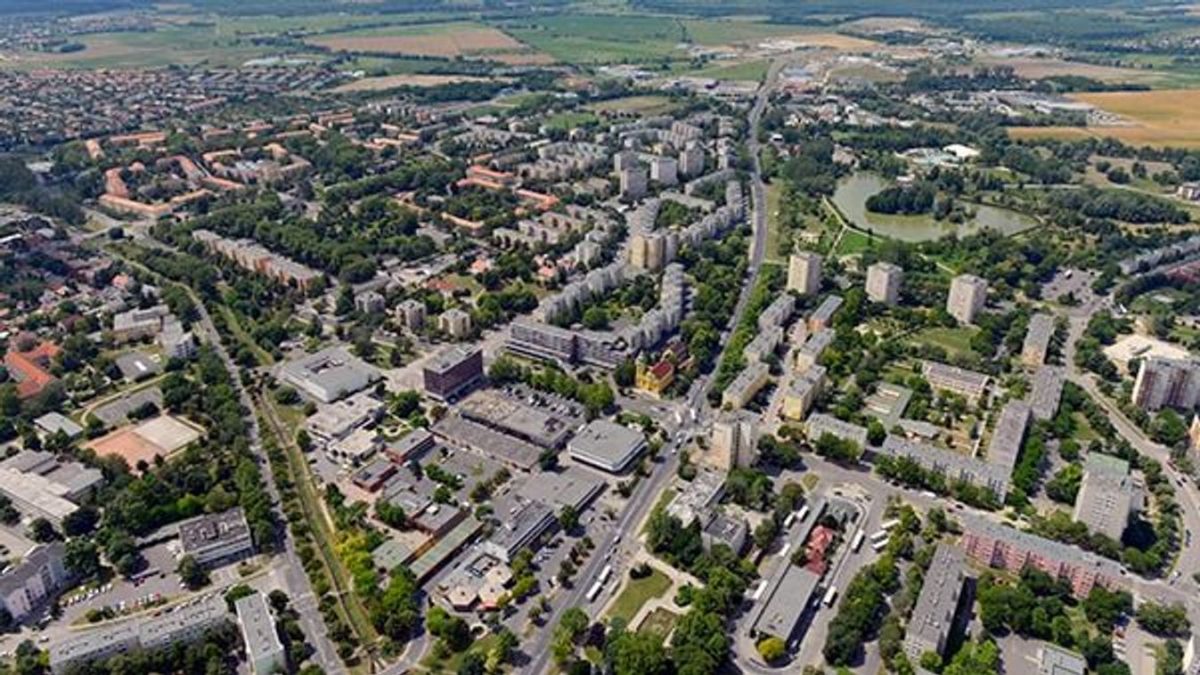 A véletlen halál: Zoltán tragédiája